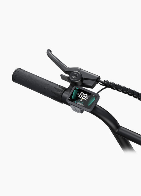 Vélo électrique L20 Boost Step-Thru
