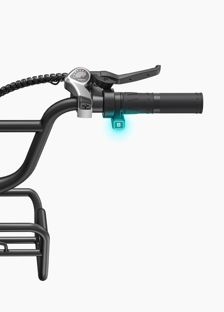 Vélo électrique L20 Boost Step-Thru