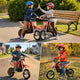 MileRocket 1 Electric Bike