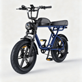 Navi Blue-ENGWE M1 Elektrisches Motorrad im Motorrad-Stil