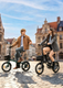 ZIP Folding Electric Bike