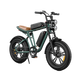 Bicicleta eléctrica estilo motocicleta M20